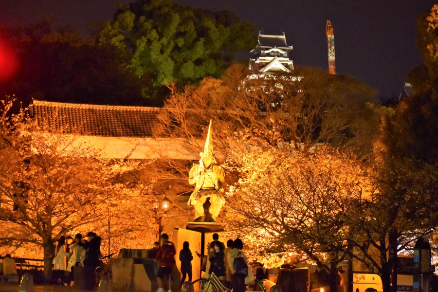 熊本城　夜桜